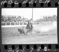 Ronald Hawkins Calf Roping