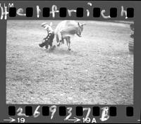 4 negatives of bull riding  (Who)