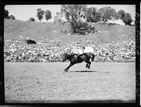 Shorty Horn on Snuffy Smith