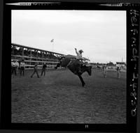 Alvin Nelson on Whizzer