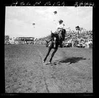 Don L. Wilson on High Tower  (Kohrs)