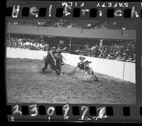 Bob Wiley Calf Roping