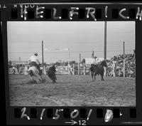 Nick Nichols - Bill Bomer Team Roping