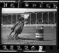 Eva Bush Barrel Racing