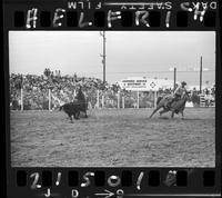 Jack Gomez- Bud Corwin Team Roping