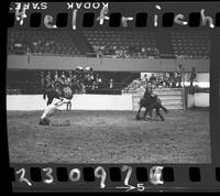 Sonny Worrell Calf Roping