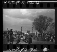 Mike Isley Steer Wrestling