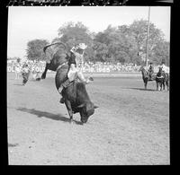 Pat O'Malley on High Noon  (CB)