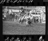 Wayne McMeans Calf Roping