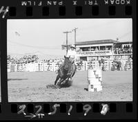 Berenice Bolen Barrel Racing