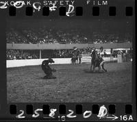 Barry Burke Calf Roping