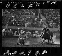 Mark Schricker Calf Roping