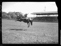 Jackie Wright on Roly Poly  (V)