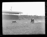 Bill Harlan Calf Roping