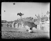 Ned Hurtado off 012