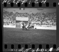 Kimer Robinson Steer Wrestling