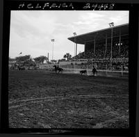 Dale Smith - Eddie Schell Team Roping