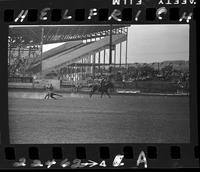 Les Kamm Steer Wrestling