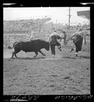 George Doak (Bullfighter) hit by Mexico