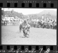 Don McBride Calf Roping