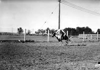 [Unidentified cowgirl doing Nancy Bragg Back Bend]