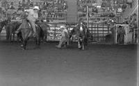 Randy Vaughn Steer wrestling