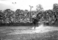 [Unidentified Cowboy on bronc about to fall off]