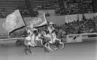 Flag Bearers