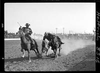 Charlie Smith Steer Wrestling