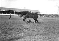 [Unidentified Cowboy off & down from bronc as Rodeo Clown looks on]