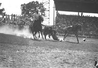 Dick Truitt Bulldogging Ft. Smith Rodeo