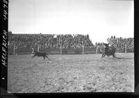 Gene Rambo Calf Roping