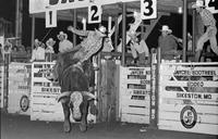 Lane Frost on Bull #5