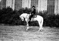[J. Wills on White Horse wearing Silver mounted saddle. Bushes and Brick Building with tall windows]