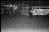 Dave Brock Calf roping