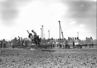 [Unidentified Cowboy riding bronc with slat fence, spectators and cars behind]