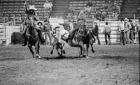 Wade Berry Steer wrestling