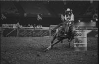 Renee Ward Barrel racing