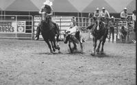 Howard Klingemann Steer wrestling