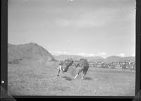 Herb Siltman off Wild Bay