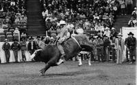 Jock McWilliams on Rambo