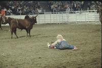 Rodeo clowns Leon Coffee & Tommy Lucia Bull fighting