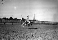 [Unidentified Cowgirl doing Russian Drag in the Saddle]