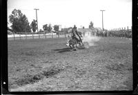 Clyde Alred Calf Roping