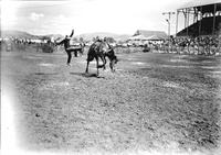 [Unidentified Cowboy leaving bronc]