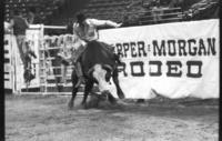Mitch Gaines on Bull #75K