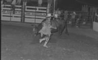 Rodeo clown Jerry Don Galloway Bull fighting