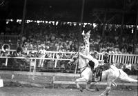 [Alice Sisty doing Shoulder Stand on galloping horse with her name appearing on saddle]