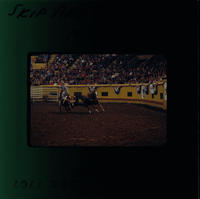 Skip Akers Steer wrestling