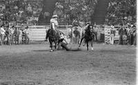 Corky Parker Steer wrestling
